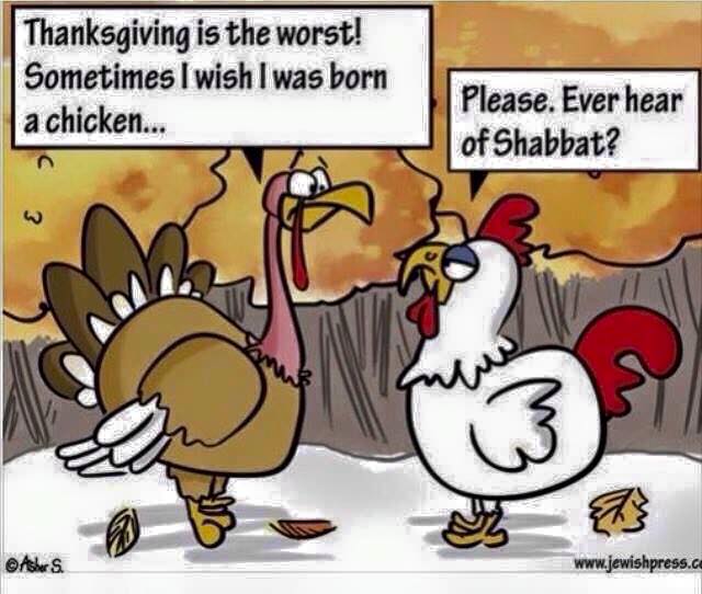 turkey-chicken